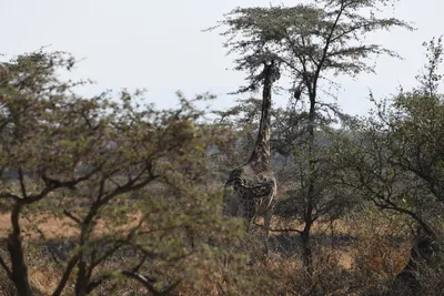 DSC_3427 (Large).JPG